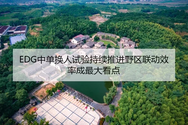 EDG中单换人试验持续推进野区联动效率成最大看点